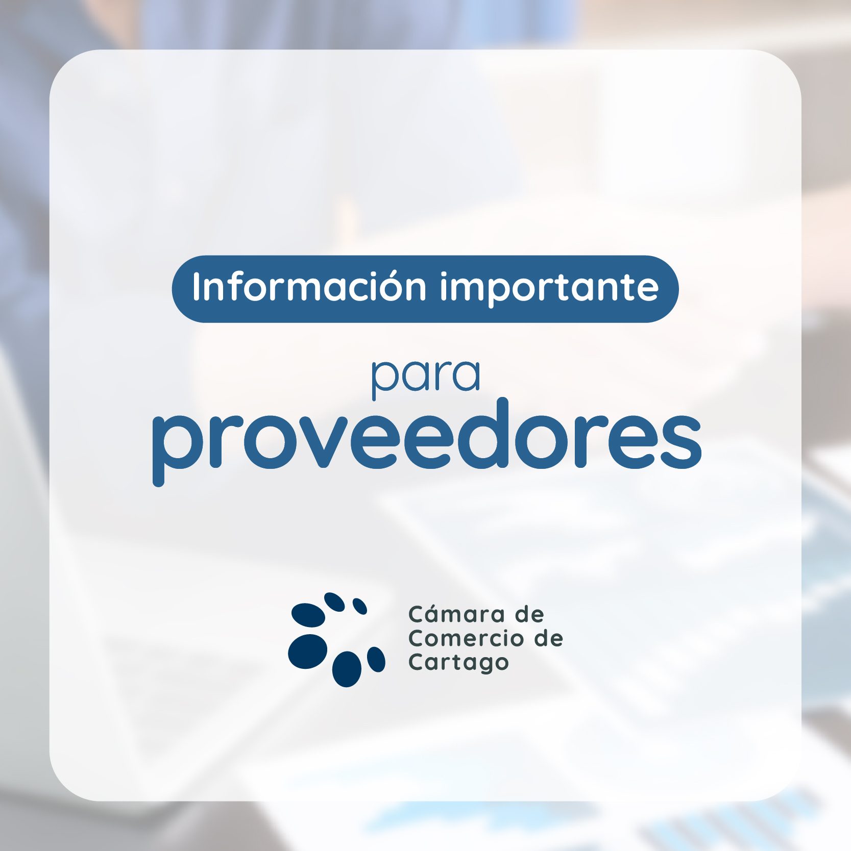 Proveedores web